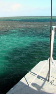 Les nuances de bleu de la grande barrière de corail.
