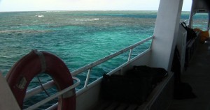 D'autres nuances de bleu de la même grande barrière de corail.
