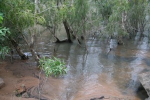 La rivière Katherine.
