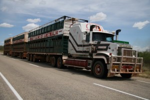 Un petit road train.