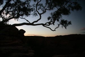 Lever de soleil sur Watarrka.