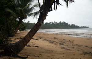 Mission beach.