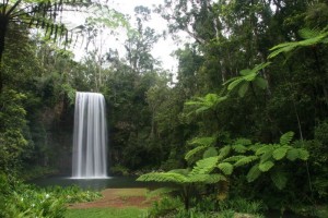 Millaa Millaa Falls.