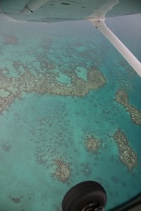 La grande barrière de corail.