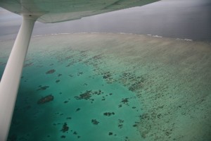 La grande barrière de corail.