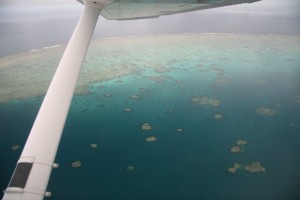 La grande barrière de corail.