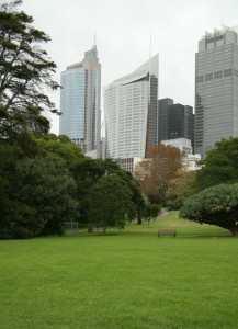 Le jardin botanique.