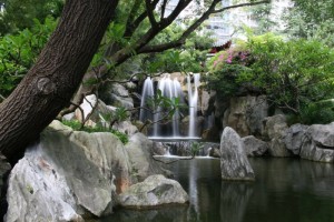 Toujours le jardin zen.