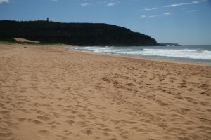 Palm beach.