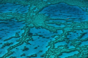 La grande barrière de corail.