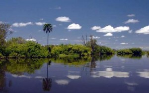 Les yellow waters du parc national de Kakadu.